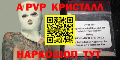 крисы Кингисепп