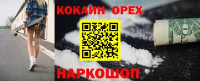 крисы Кингисепп