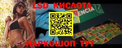 крисы Кингисепп