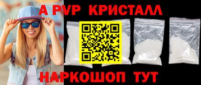 крисы Кингисепп