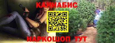 крисы Кингисепп
