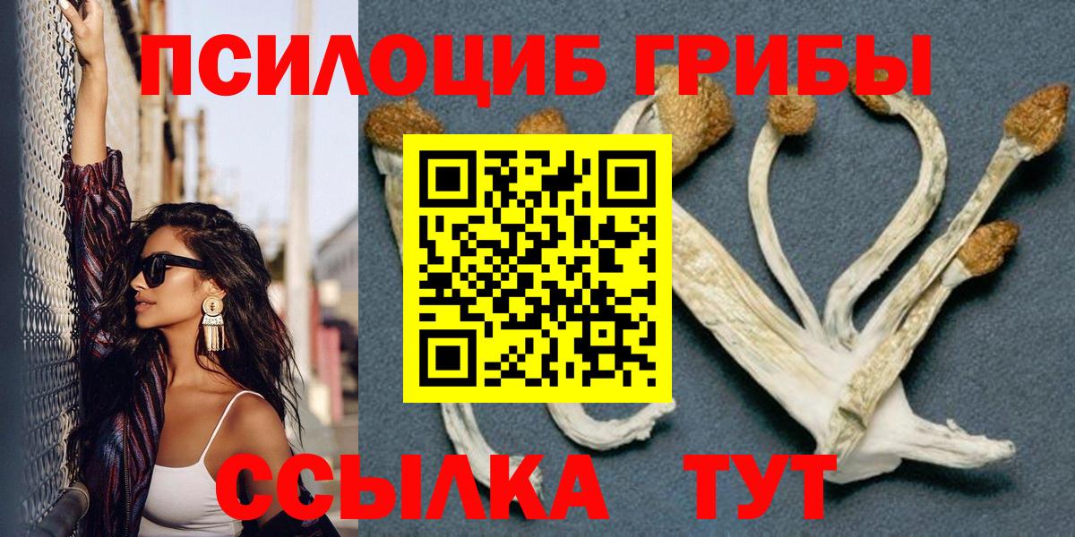 Галлюциногенные грибы GOLDEN TEACHER  Вход с VPN  Якутск 